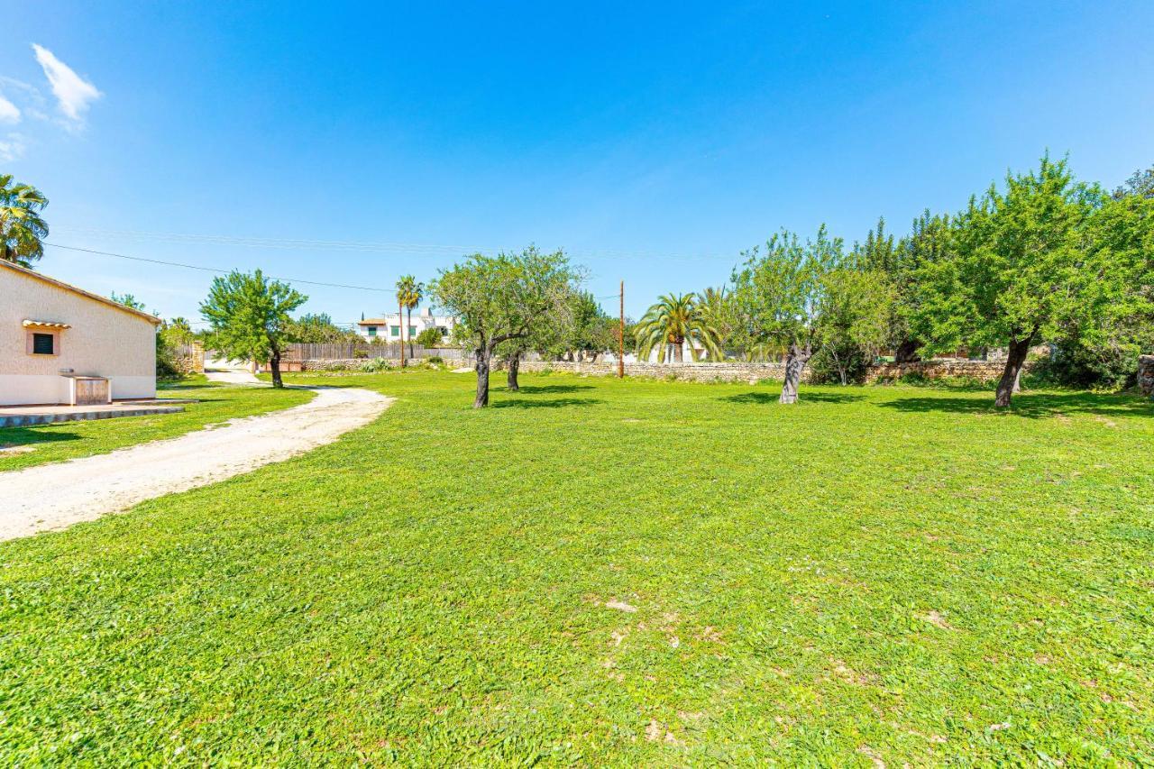 Gallina By Mallorca Selection Alcudia (Mallorca)